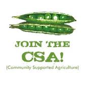 Michigan CSA Info
