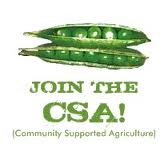 Michigan CSA Info