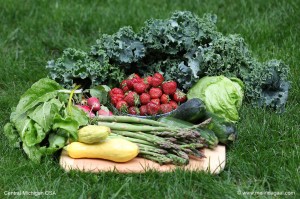 michigan csa share