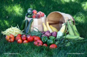 central michigan csa share