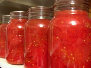 canning tomatoes