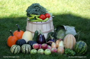 fresh csa share